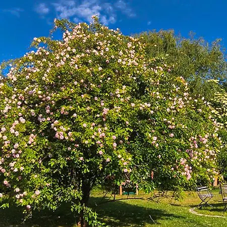 Gaestehaus Karstadt 03 - Apfelstuebchen Appartement Boltenhagen (Ostseebad)